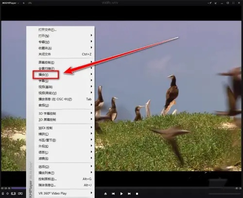 kmplayer plus怎么加速？kmplayer plus加速的方法截图