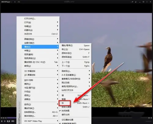 kmplayer plus怎么加速？kmplayer plus加速的方法截图
