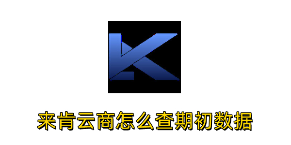 来肯云商怎么查期初数据？来肯云商查期初数据的方法