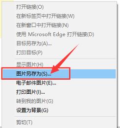 硕思logo设计师怎么去水印？硕思logo设计师去水印的方法截图