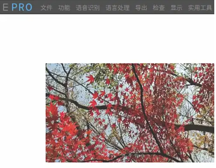 arctime怎么快进播放？arctime快进播放的操作步骤截图