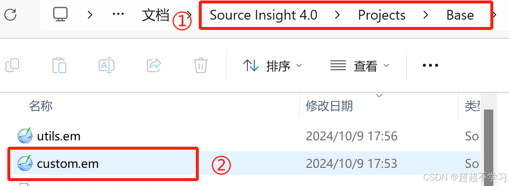 source insight怎么添加注释？source insight添加注释的方法截图