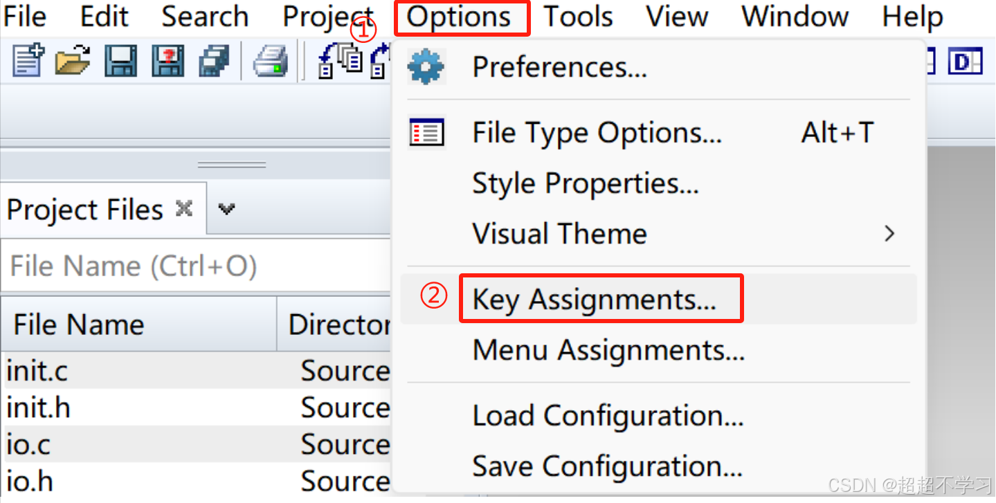 source insight怎么添加注释？source insight添加注释的方法截图