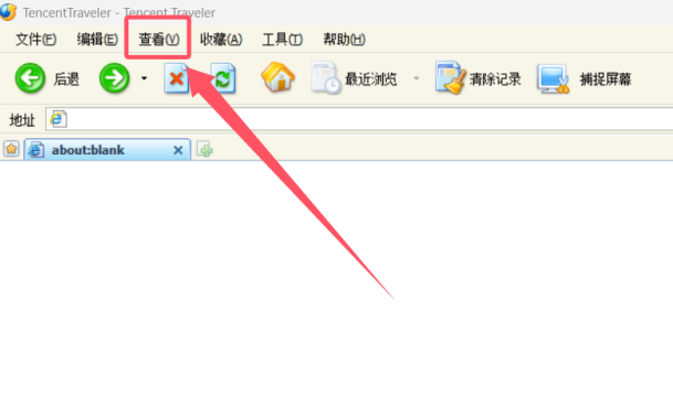 tt浏览器怎么变大字？tt浏览器变大字的步骤截图
