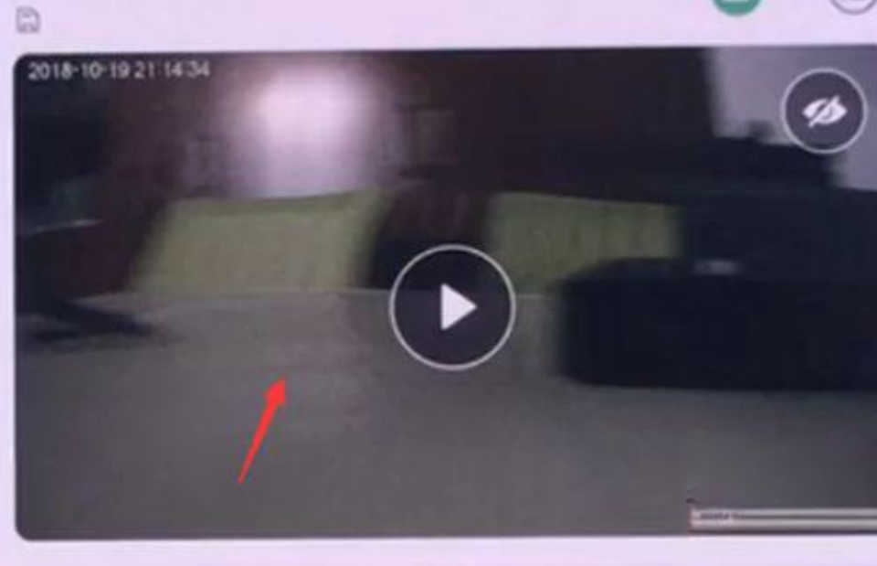 乐橙怎么下载本地录像？乐橙下载本地录像的步骤截图