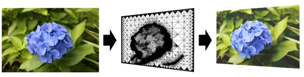佳能新应用上线：依托 Dual Pixel 技术 单张照片即可生成3D模型截图