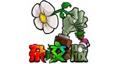 植物大战僵尸杂交版全屏出错误弹窗怎么办?植物大战僵尸杂交版全屏出错误弹窗解决方法