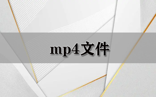 mp4文件