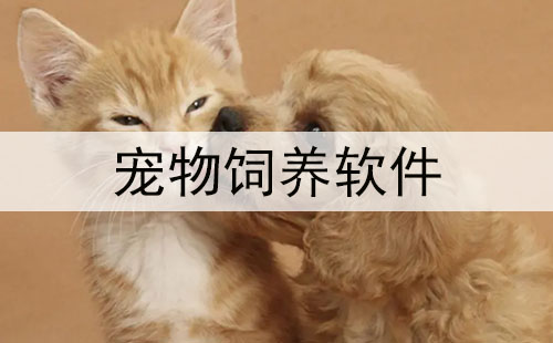 宠物饲养软件