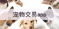 宠物交易app