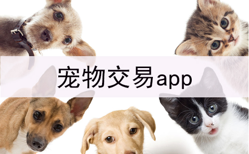 宠物交易app