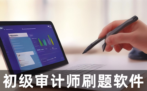 初级审计师刷题软件