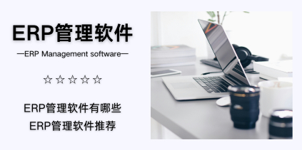 ERP管理软件