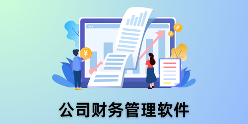 公司财务管理软件