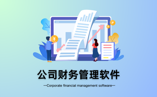 公司财务管理软件